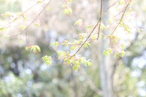 日本3月批发通胀年率达4%，支持近期加息预期