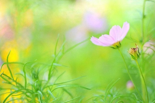 商务部回应中美经贸对话磋商情况：美方想谈就应拿出谈的诚意
