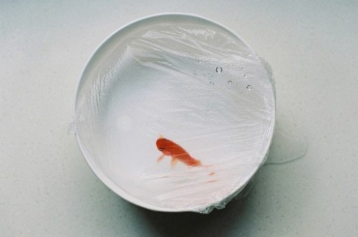 美国财政部：美国和日本同意启动工作层级的贸易磋商