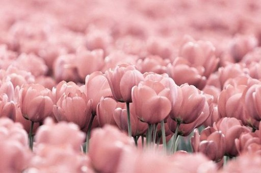 巴菲特在伯克希尔股东大会上的语录：涉及贸易、机遇与美国