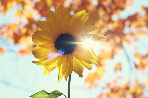 虚构医药服务项目、协助冒名就医等，北京4家医疗机构被处罚