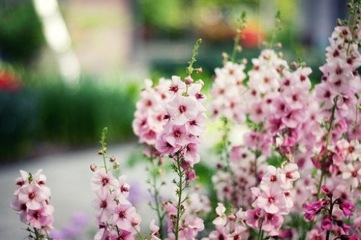 凌志软件累计回购73万股 金额884万元