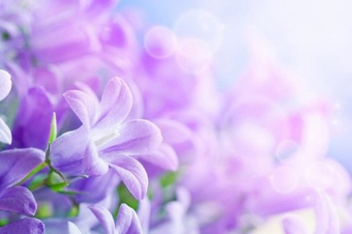 小米新一代处理器曝光！自研芯片团队已达1000多人