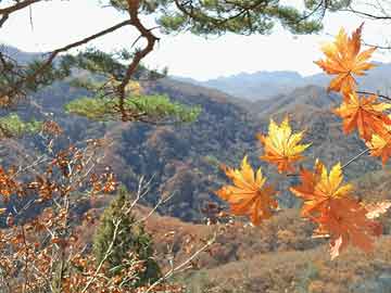 蜈支洲岛旅游攻略（蜈支洲岛旅游攻略自由行）